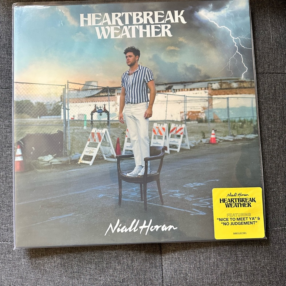 Niall Horan Vinyl 2